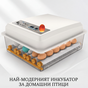 Мултифункционален Автоматичен Инкубатор за 48 яйца
