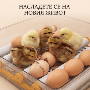 Мултифункционален Автоматичен Инкубатор за 48 яйца